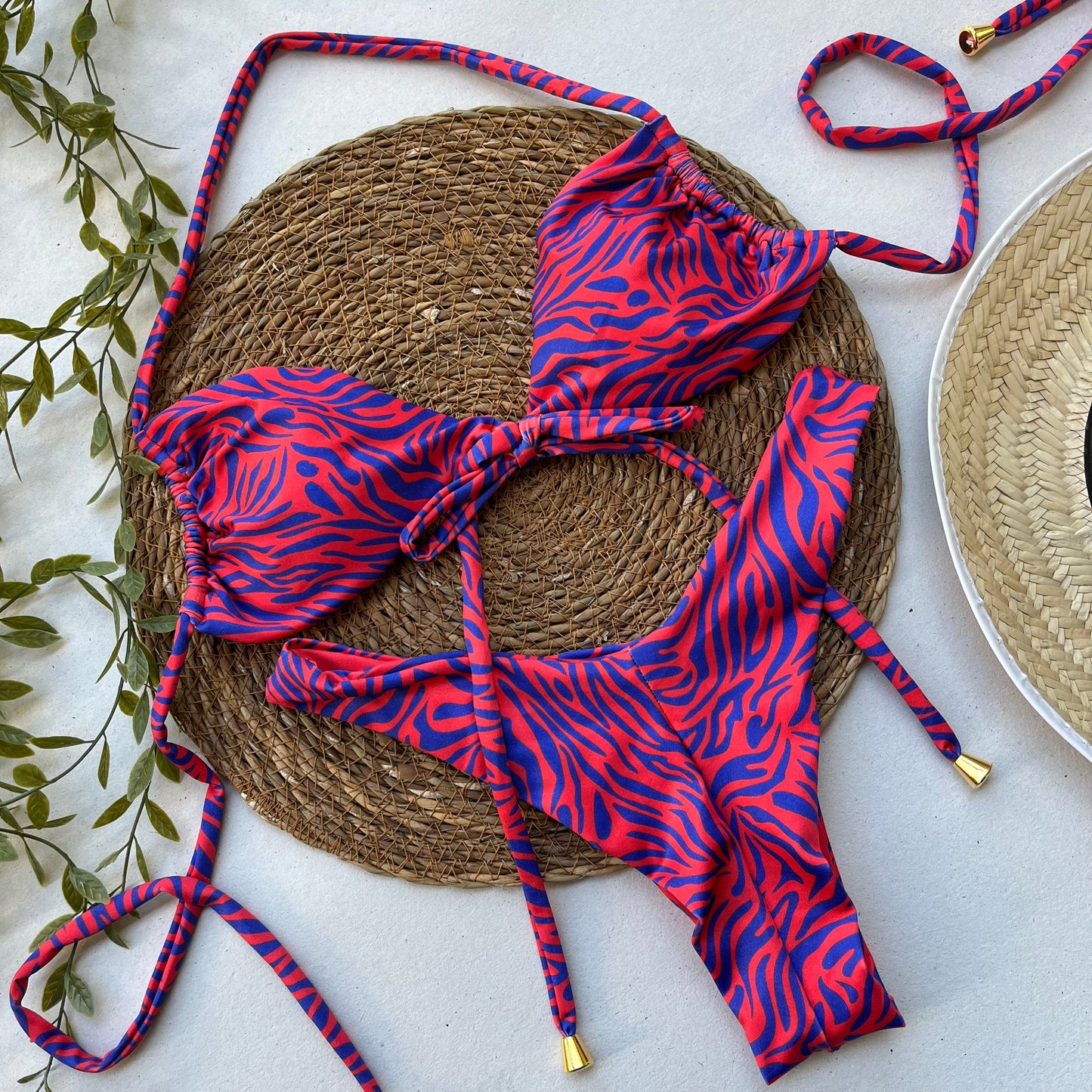 Midnight Zebra - Bikini Set
